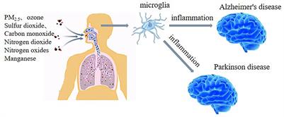 Different components of air pollutants and neurological disorders